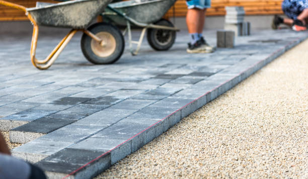 Best Driveway Drainage Solutions  in Battle Creek, NE